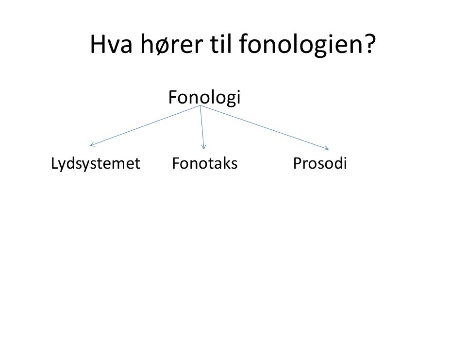 Hva hører til fonologien