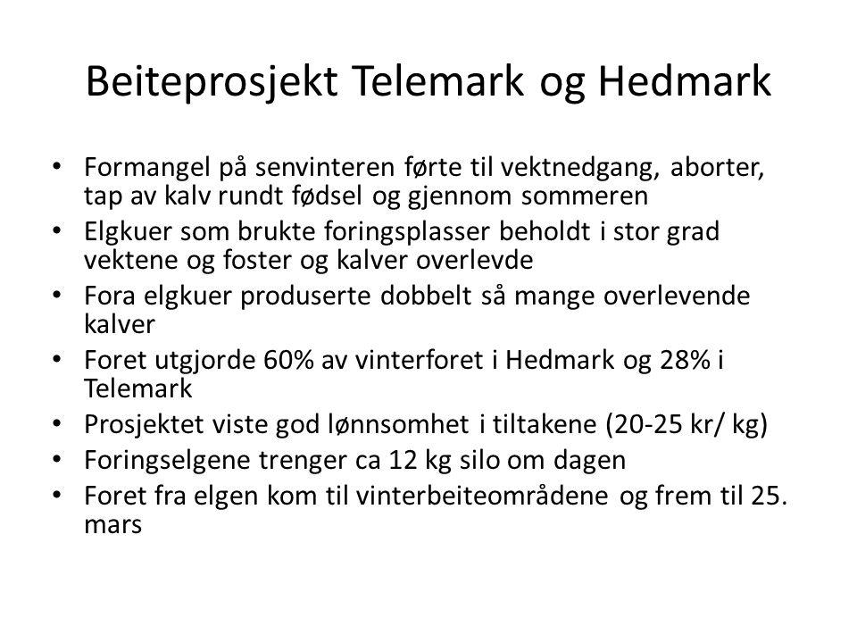 Beiteprosjekt Telemark og Hedmark