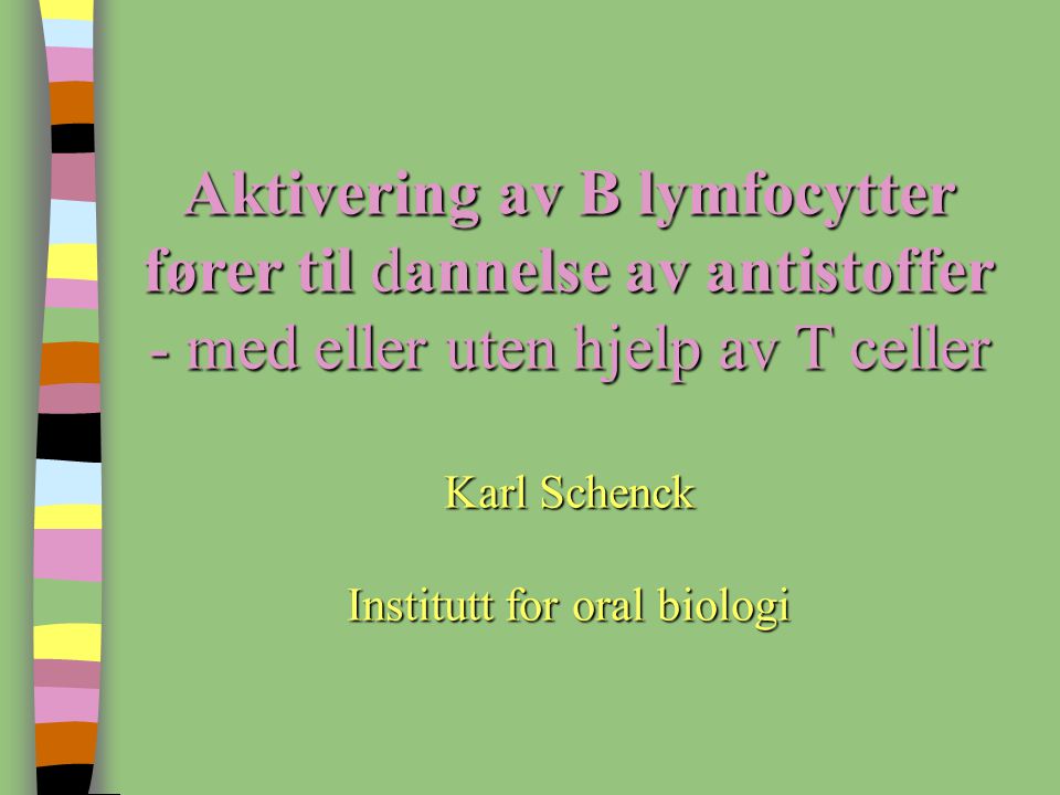 Aktivering av B lymfocytter fører til dannelse av antistoffer - med eller uten hjelp av T celler Karl Schenck Institutt for oral biologi
