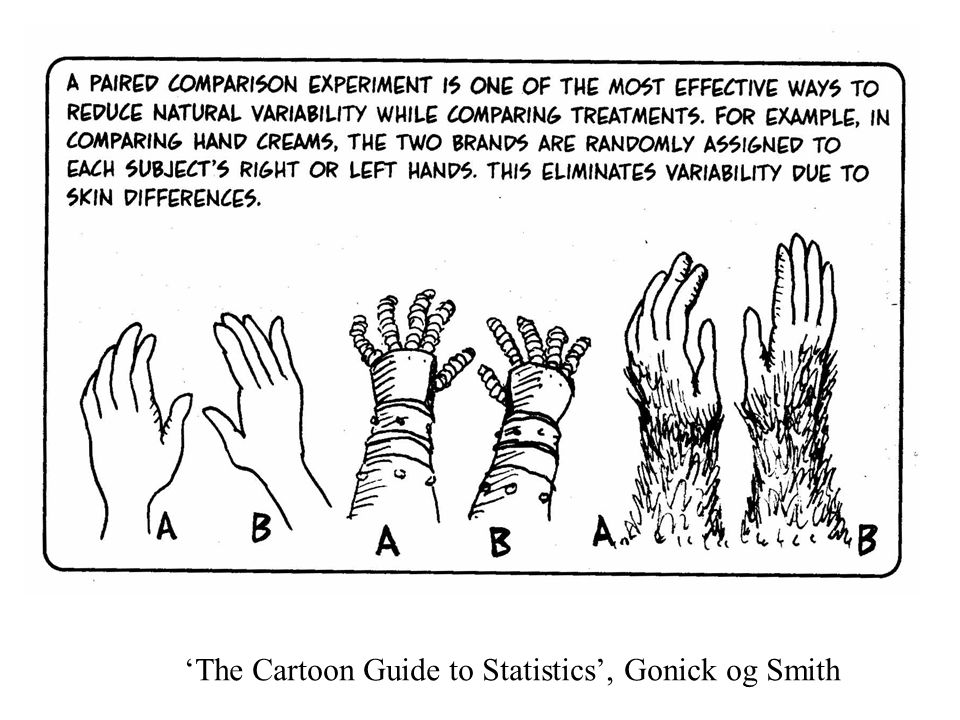‘The Cartoon Guide to Statistics’, Gonick og Smith