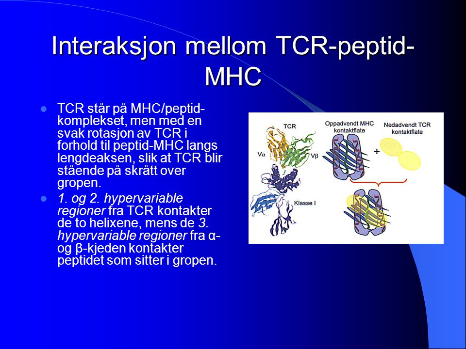 Interaksjon mellom TCR-peptid-MHC
