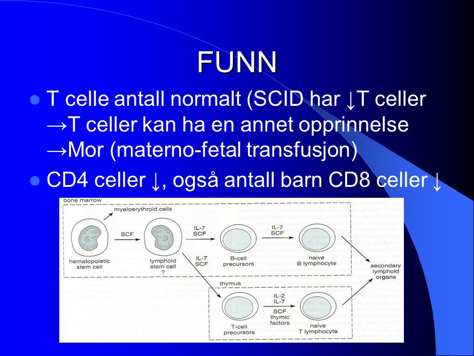 FUNN T celle antall normalt (SCID har ↓T celler →T celler kan ha en annet opprinnelse →Mor (materno-fetal transfusjon)