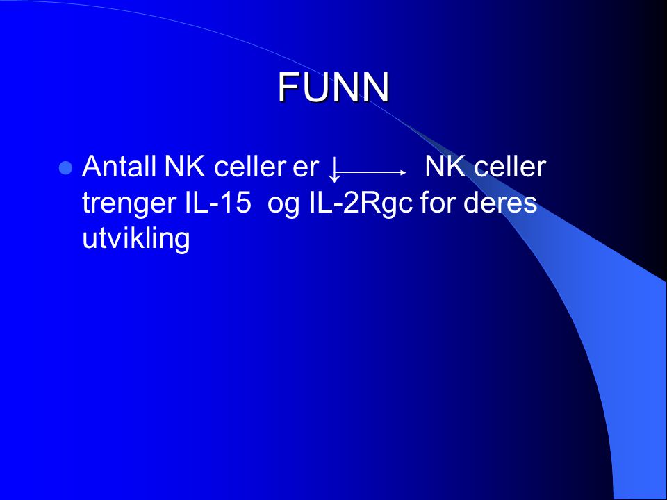 FUNN Antall NK celler er ↓ NK celler trenger IL-15 og IL-2Rgc for deres utvikling