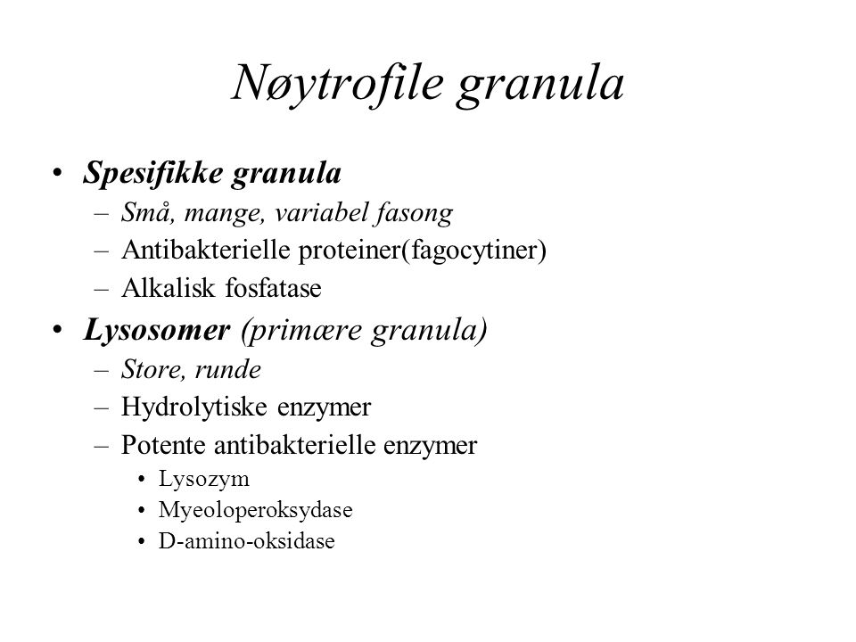 Nøytrofile granula Spesifikke granula Lysosomer (primære granula)