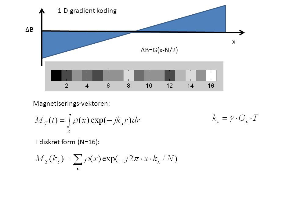 1-D gradient koding ∆B x ∆B=G(x-N/2) Magnetiserings-vektoren: I diskret form (N=16):