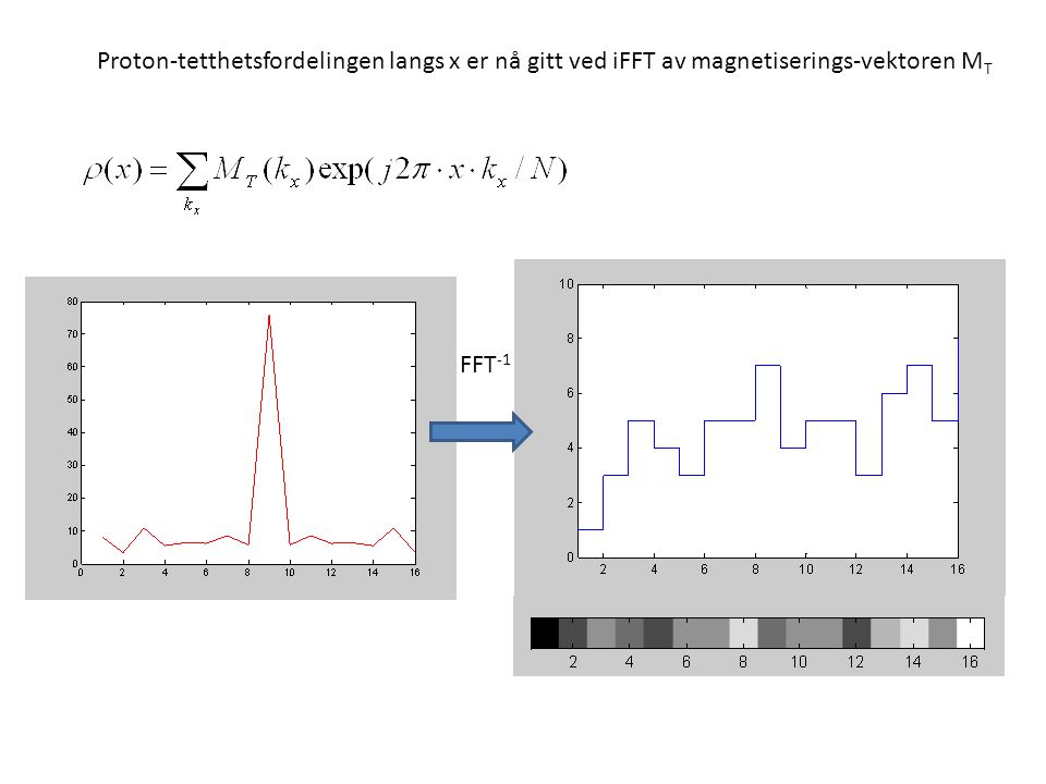 Proton-tetthetsfordelingen langs x er nå gitt ved iFFT av magnetiserings-vektoren MT