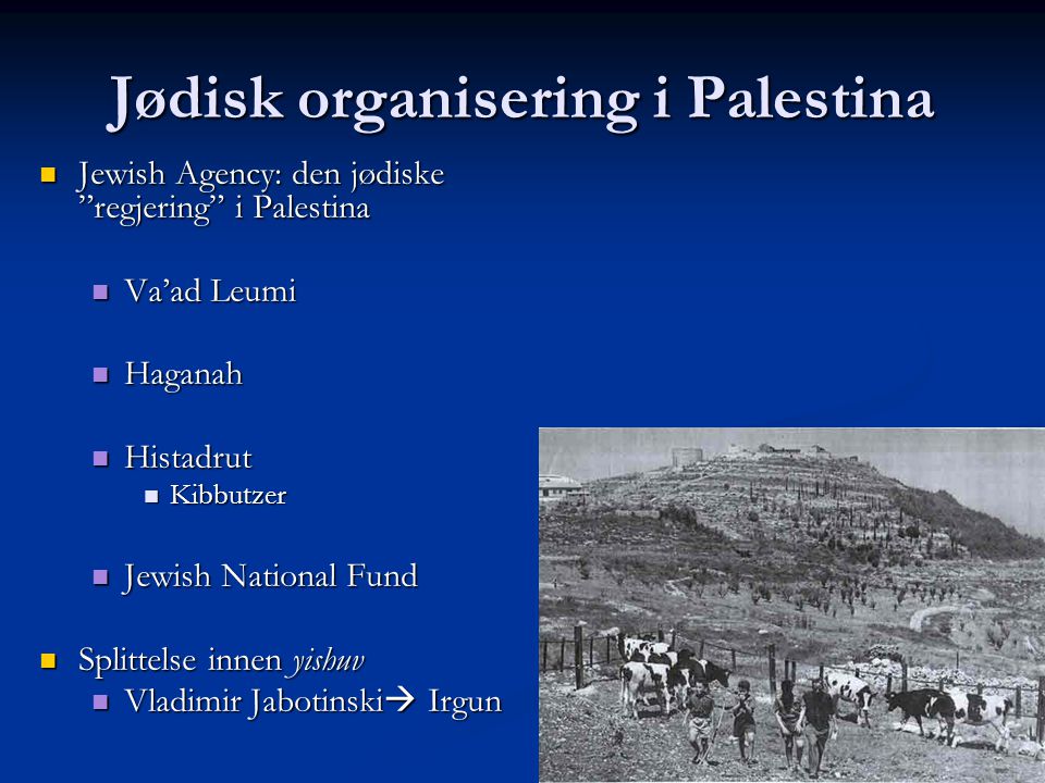 Jødisk organisering i Palestina