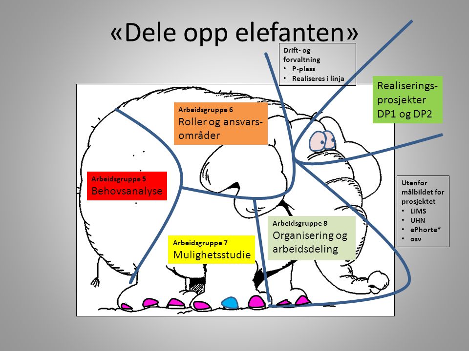 «Dele opp elefanten» Realiserings- prosjekter DP1 og DP2