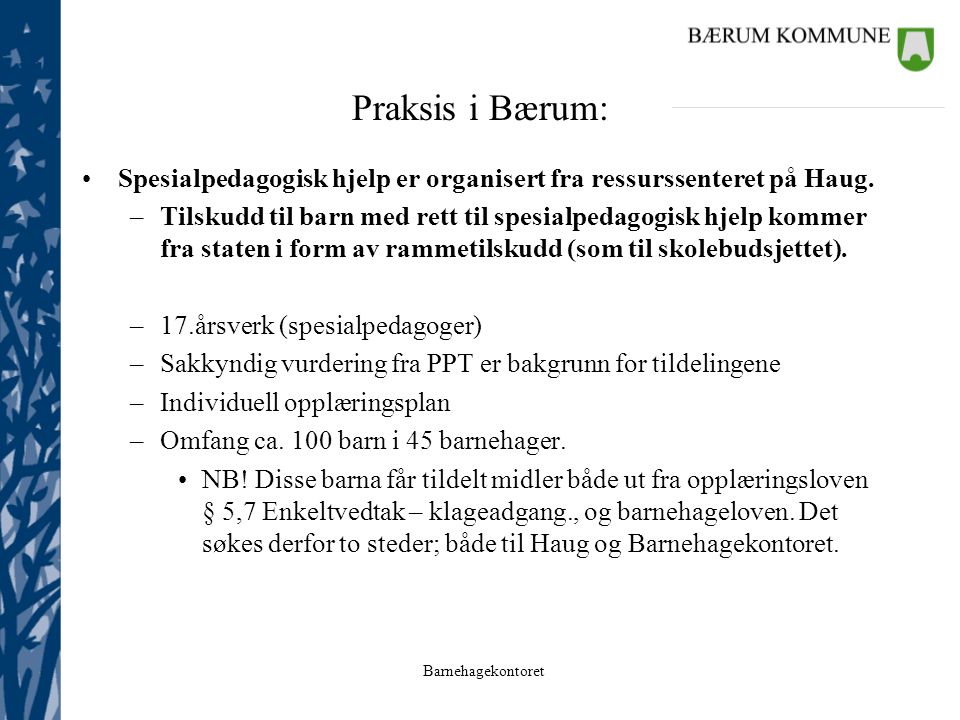 Praksis i Bærum: Spesialpedagogisk hjelp er organisert fra ressurssenteret på Haug.