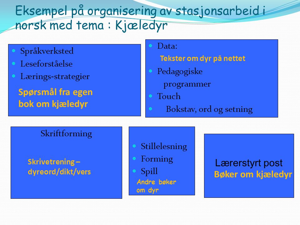 Eksempel på organisering av stasjonsarbeid i norsk med tema : Kjæledyr