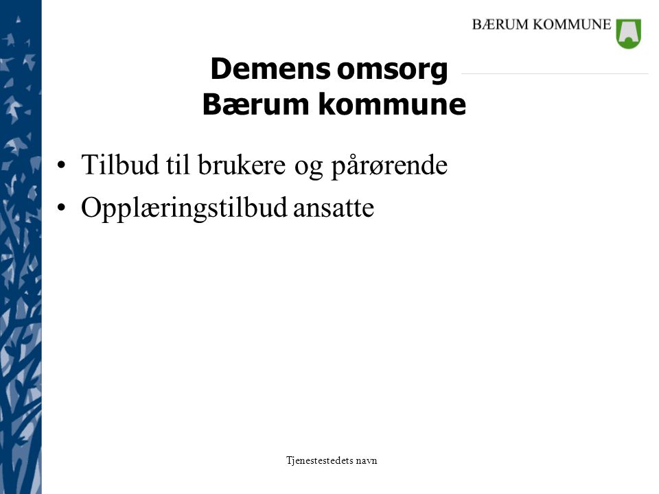 Demens omsorg Bærum kommune