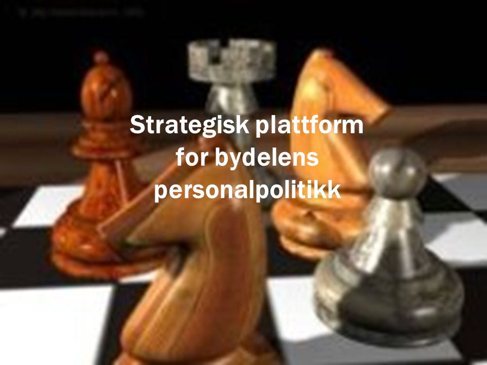 Strategisk plattform for bydelens personalpolitikk