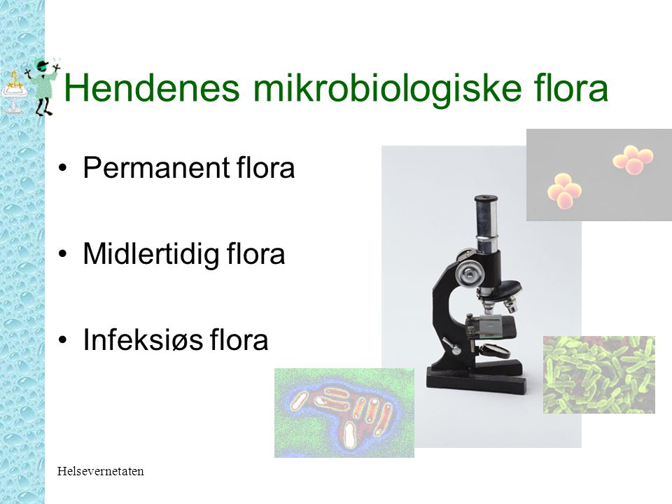 Hendenes mikrobiologiske flora