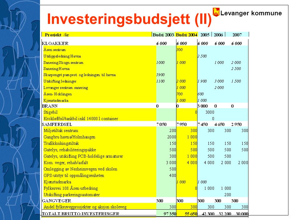 Investeringsbudsjett (II)