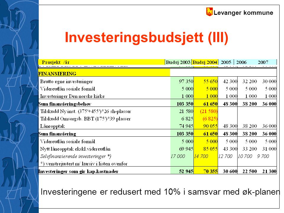 Investeringsbudsjett (III)