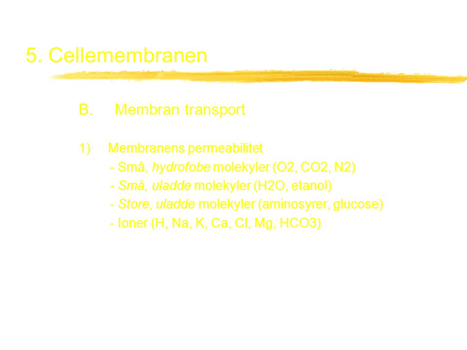 5. Cellemembranen B. Membran transport 1) Membranens permeabilitet