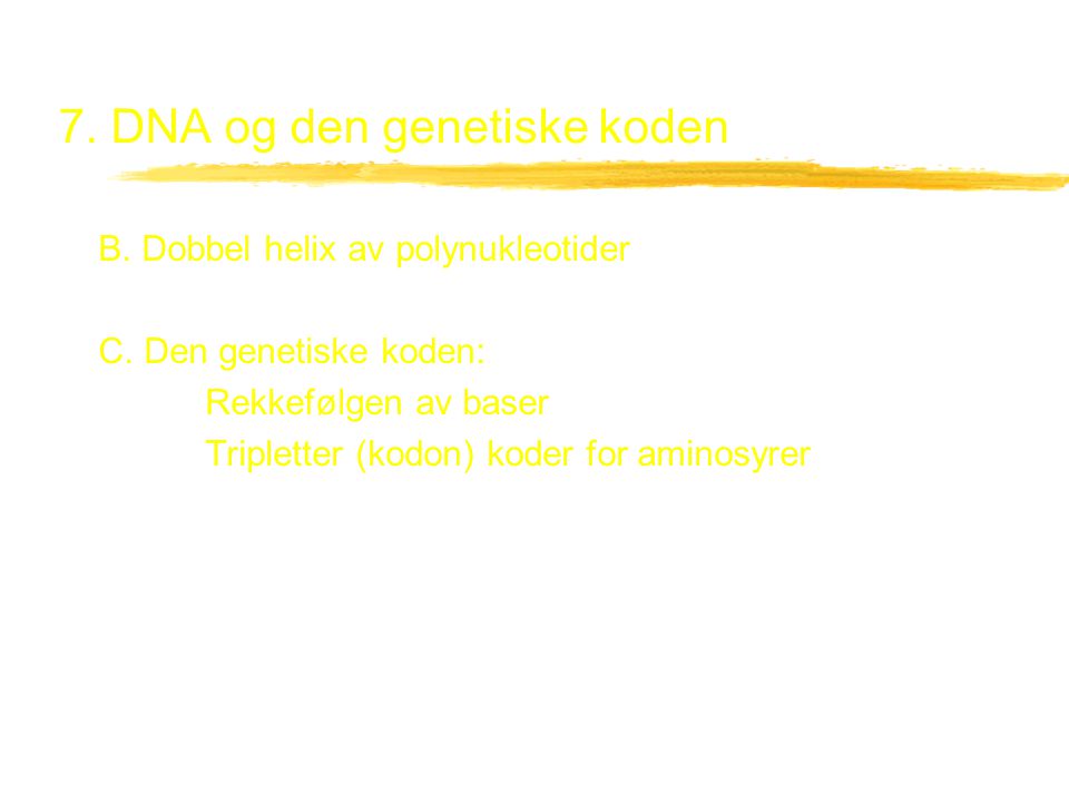 7. DNA og den genetiske koden