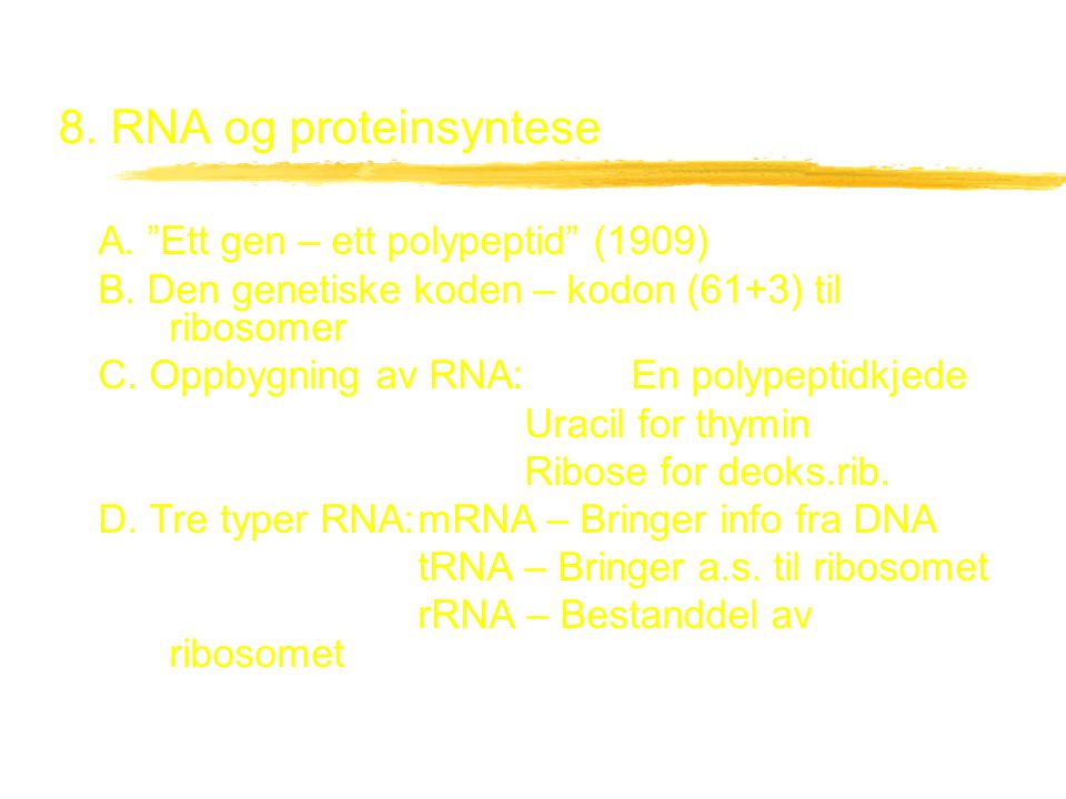 8. RNA og proteinsyntese A. Ett gen – ett polypeptid (1909)
