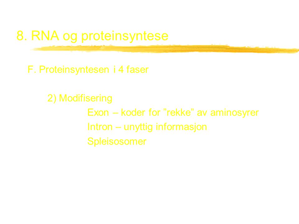 8. RNA og proteinsyntese F. Proteinsyntesen i 4 faser 2) Modifisering