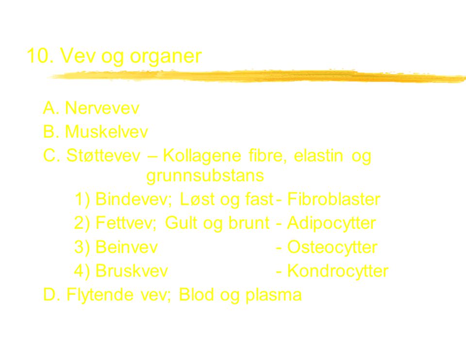 10. Vev og organer A. Nervevev B. Muskelvev
