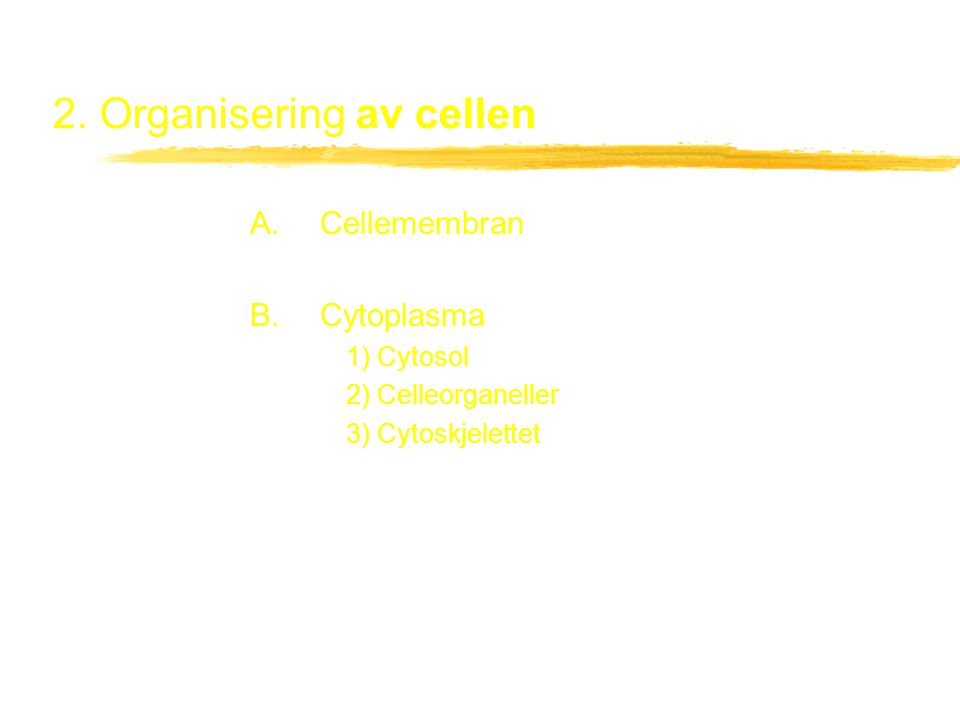2. Organisering av cellen