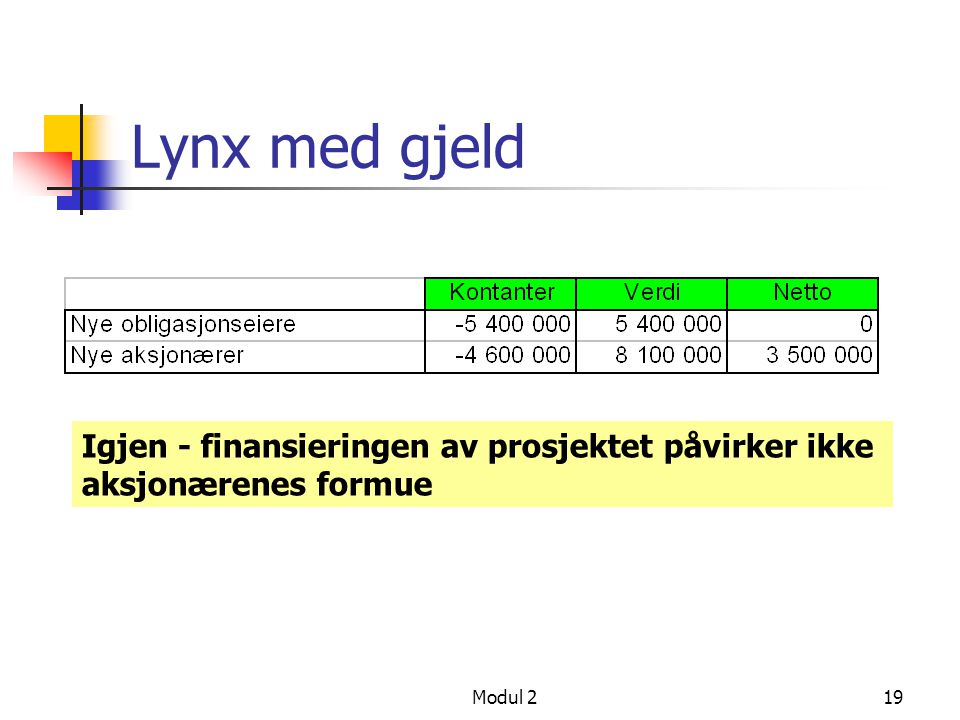 Lynx med gjeld Igjen - finansieringen av prosjektet påvirker ikke aksjonærenes formue Modul 2