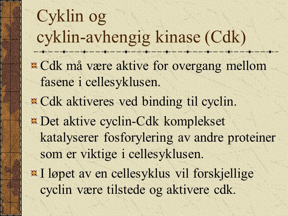 Cyklin og cyklin-avhengig kinase (Cdk)