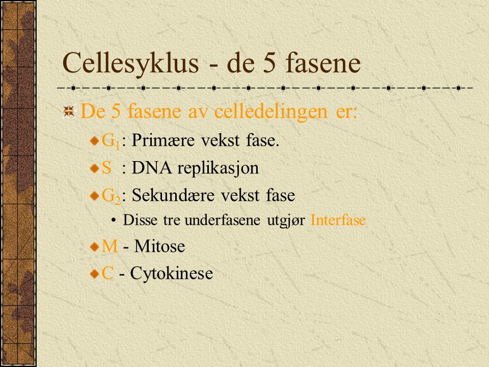 Cellesyklus - de 5 fasene
