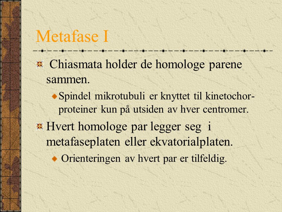Metafase I Chiasmata holder de homologe parene sammen.