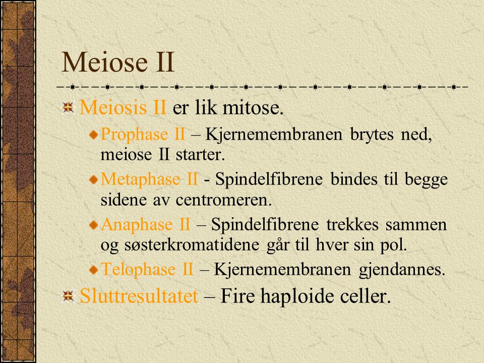 Meiose II Meiosis II er lik mitose.