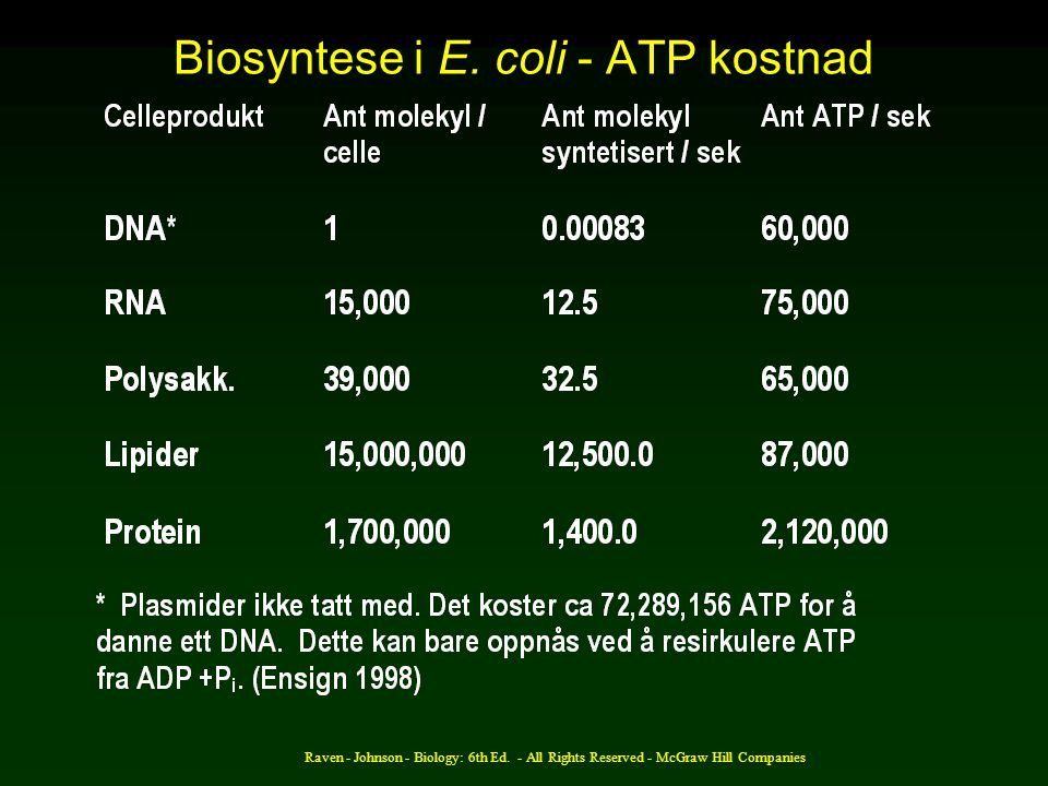 Biosyntese i E. coli - ATP kostnad