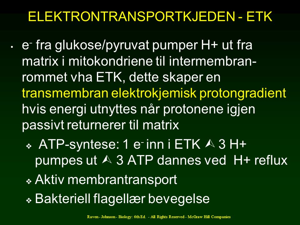 ELEKTRONTRANSPORTKJEDEN - ETK