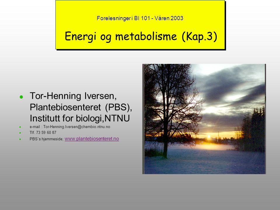 Forelesninger i BI Våren 2003 Energi og metabolisme (Kap.3)