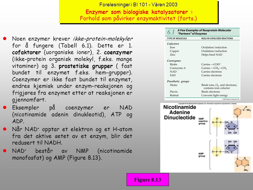 NAD+ består av NMP (nicotinamide monofosfat) og AMP (Figure 8.13).