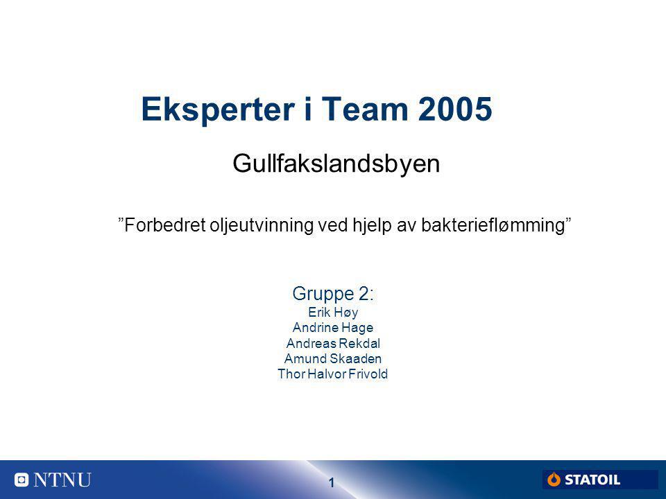 Eksperter i Team 2005 Gullfakslandsbyen