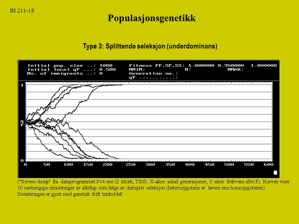 Populasjonsgenetikk Type 3: Splittende seleksjon (underdominans)