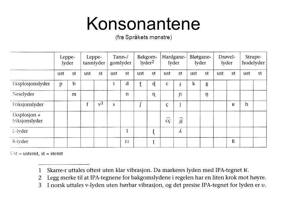 Konsonantene (fra Språkets mønstre)