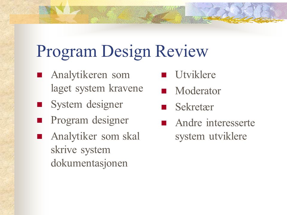 Program Design Review Analytikeren som laget system kravene