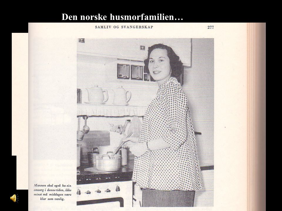 Den norske husmorfamilien…