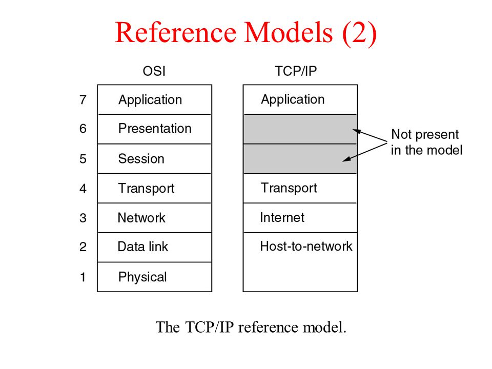 The TCP/IP reference model.