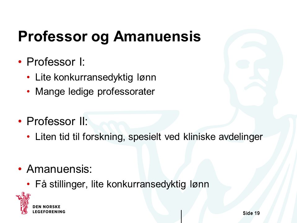 Professor og Amanuensis