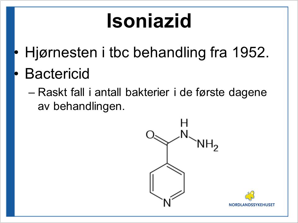 Isoniazid Hjørnesten i tbc behandling fra Bactericid