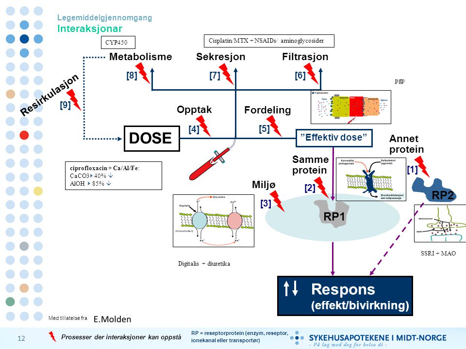 DOSE Respons RP2 RP1 (effekt/bivirkning) Metabolisme Sekresjon