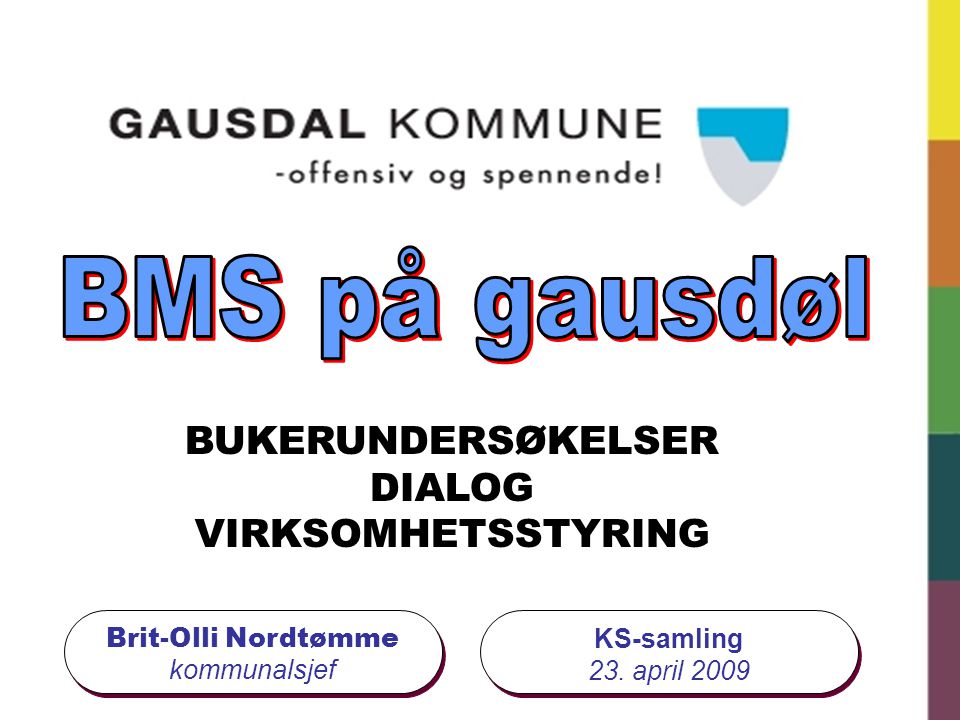 BMS på gausdøl BUKERUNDERSØKELSER DIALOG VIRKSOMHETSSTYRING