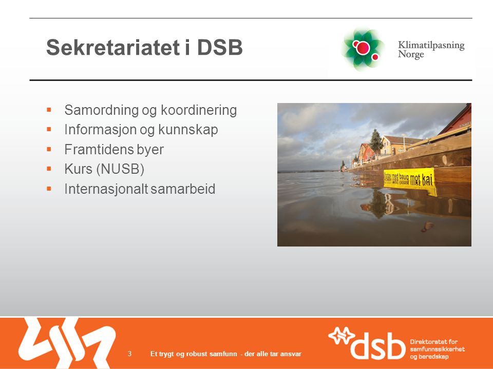 Sekretariatet i DSB Samordning og koordinering Informasjon og kunnskap