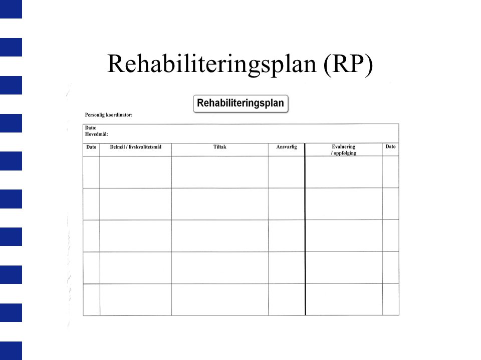 Rehabiliteringsplan (RP)