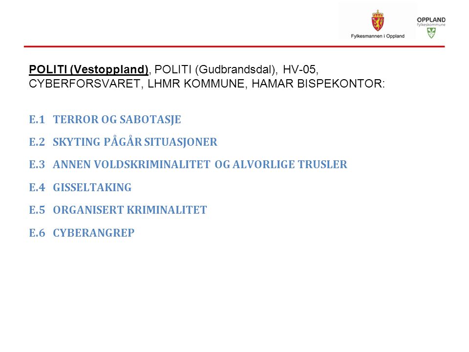 POLITI (Vestoppland), POLITI (Gudbrandsdal), HV-05, CYBERFORSVARET, LHMR KOMMUNE, HAMAR BISPEKONTOR: