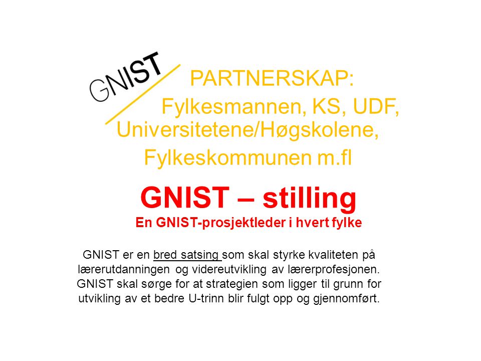 GNIST – stilling En GNIST-prosjektleder i hvert fylke