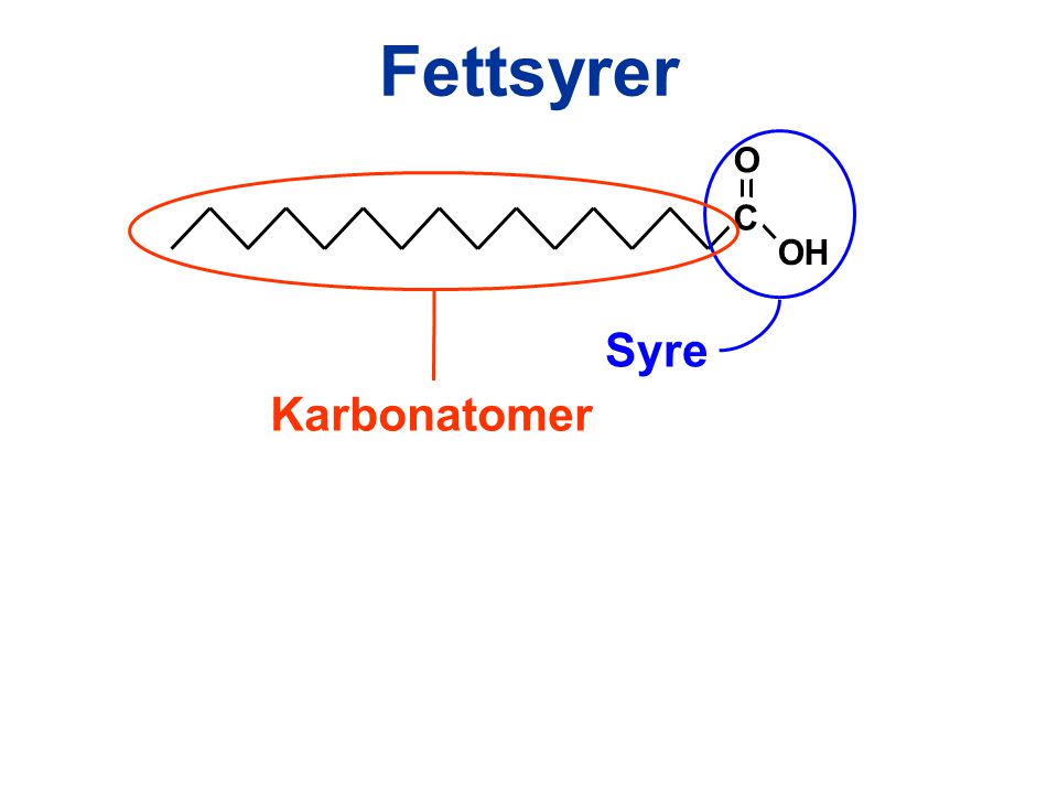 Fettsyrer C OH O Syre Karbonatomer