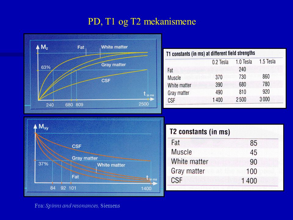 PD, T1 og T2 mekanismene Fra: Spinns and resonances, Siemens
